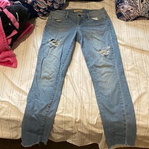 guess jeans